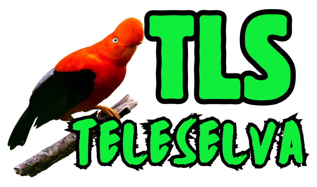 MEGASAT -TELESELVA